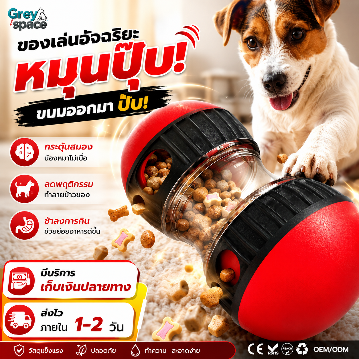 ของเล่นสัตว์เลี้ยงอัจฉริยะ
