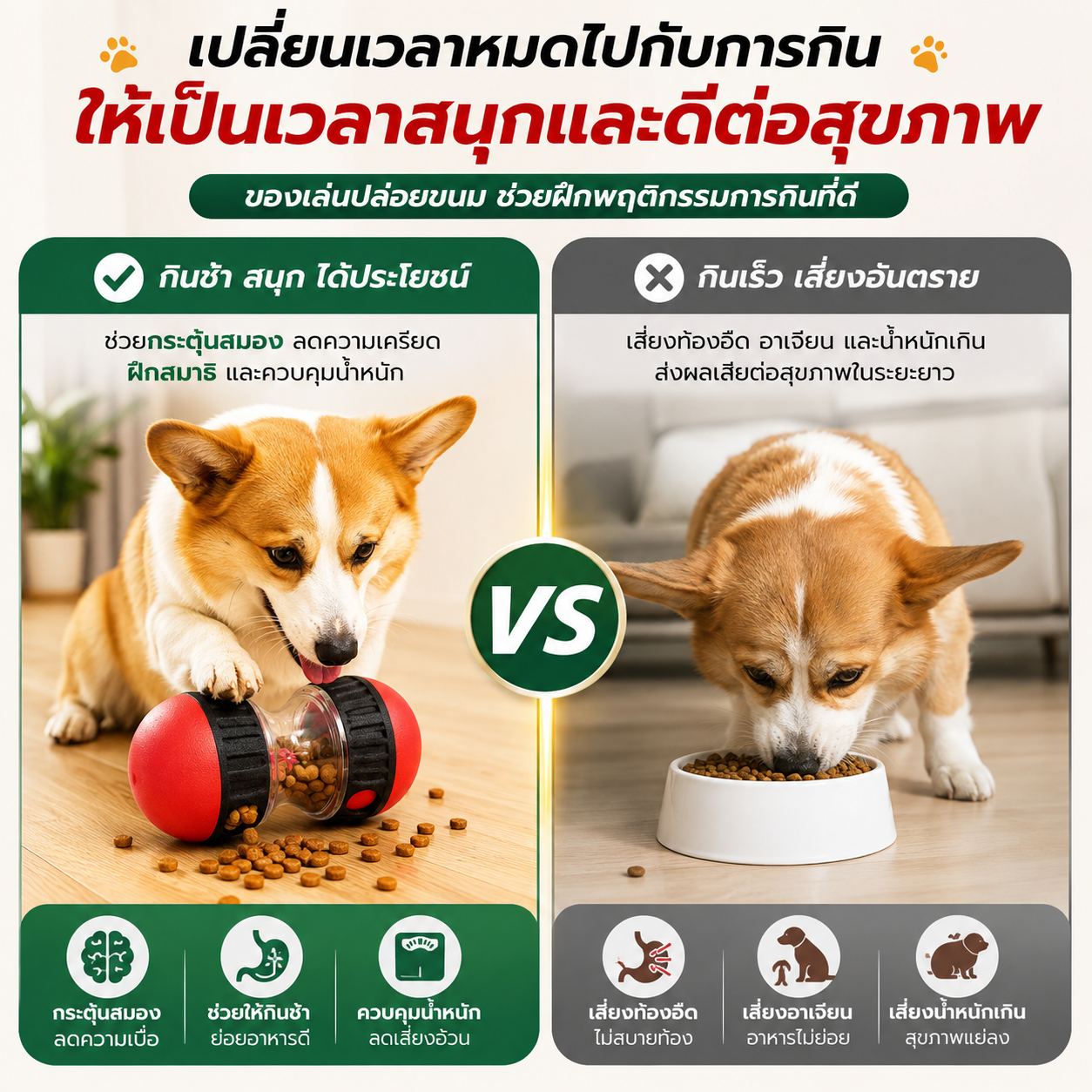 ของเล่นสัตว์เลี้ยงอัจฉริยะ