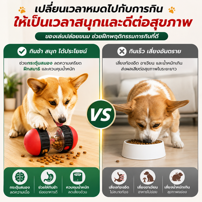 ของเล่นสัตว์เลี้ยงอัจฉริยะ